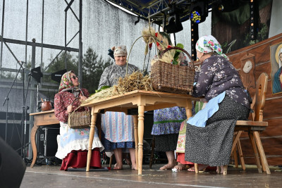 27. Gminny Przegląd KGW Pisarzowa 2026 - Galeria zdjęć - DSC_8353 (Kopiowanie).jpg