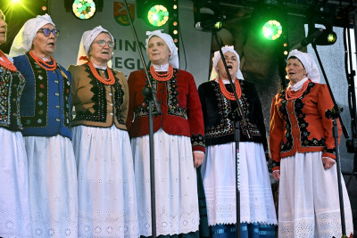 27. Gminny Przegląd KGW Pisarzowa 2026 - Galeria zdjęć - DSC_8805 (Kopiowanie).jpg
