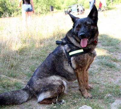 Spotkanie turystów na Sałaszu -  Odkryj Beskid Wyspowy 2019 - Galeria zdjęć - IMG_1891 (Kopiowanie).JPG