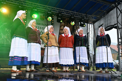 27. Gminny Przegląd KGW Pisarzowa 2026 - Galeria zdjęć - DSC_8751 (Kopiowanie).jpg