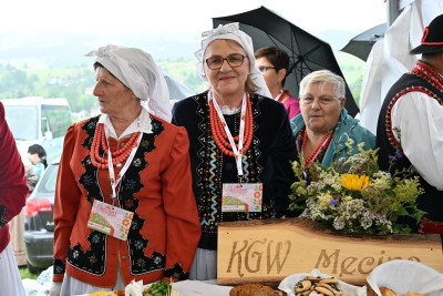 27. Gminny Przegląd KGW Pisarzowa 2026 - Galeria zdjęć - DSC_8183 (Kopiowanie).jpg