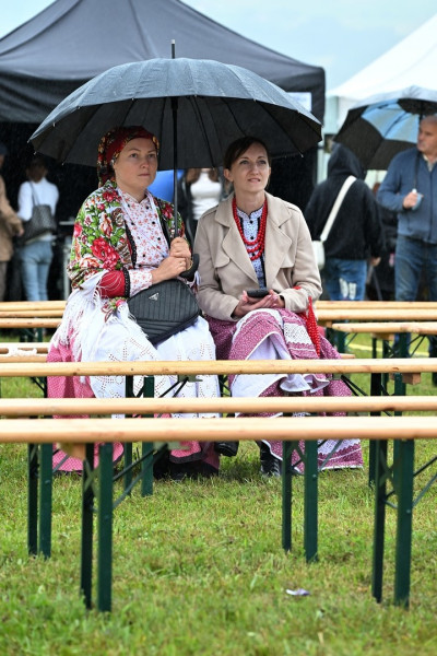 27. Gminny Przegląd KGW Pisarzowa 2026 - Galeria zdjęć - DSC_8667 (Kopiowanie).jpg