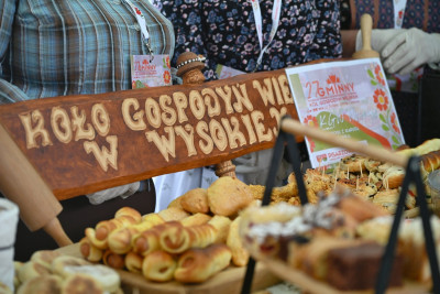27. Gminny Przegląd KGW Pisarzowa 2026 - Galeria zdjęć - DSC_7842 (Kopiowanie).jpg