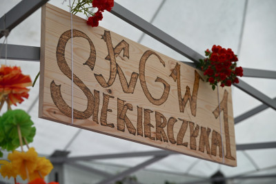 27. Gminny Przegląd KGW Pisarzowa 2026 - Galeria zdjęć - DSC_7885 (Kopiowanie).jpg