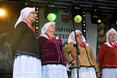 27. Gminny Przegląd KGW Pisarzowa 2026 - Galeria zdjęć - DSC_8745 (Kopiowanie).jpg