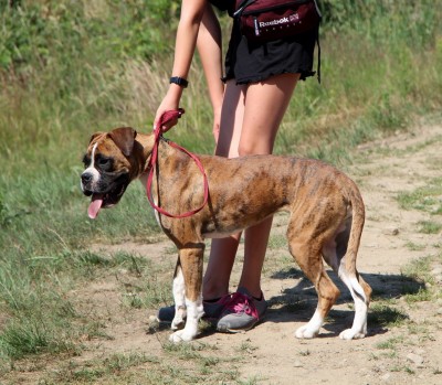 Spotkanie turystów na Sałaszu -  Odkryj Beskid Wyspowy 2019 - Galeria zdjęć - IMG_1897 (Kopiowanie).JPG