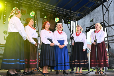 27. Gminny Przegląd KGW Pisarzowa 2026 - Galeria zdjęć - DSC_8765 (Kopiowanie).jpg