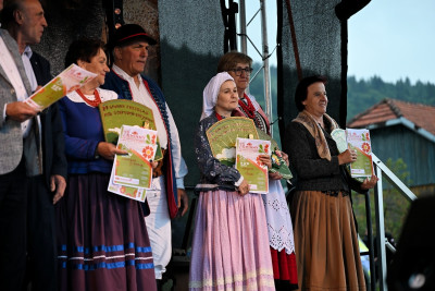 27. Gminny Przegląd KGW Pisarzowa 2026 - Galeria zdjęć - DSC_9077 (Kopiowanie).jpg
