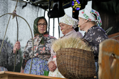 27. Gminny Przegląd KGW Pisarzowa 2026 - Galeria zdjęć - DSC_8339 (Kopiowanie).jpg