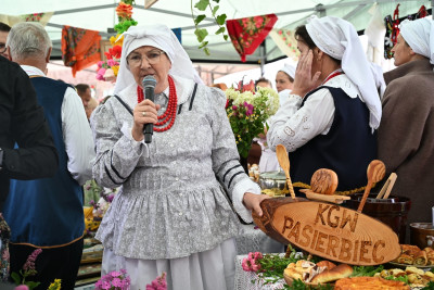 27. Gminny Przegląd KGW Pisarzowa 2026 - Galeria zdjęć - DSC_7894 (Kopiowanie).jpg
